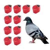 8mm Bird Pigeons Leg Rings - Colorful Readable Numbered Bird Identification Leg Bands, Durable Poultry Leg Bands Clip on Leg Rings for Bantam Finch Dove Lovebird Coturnix Quail