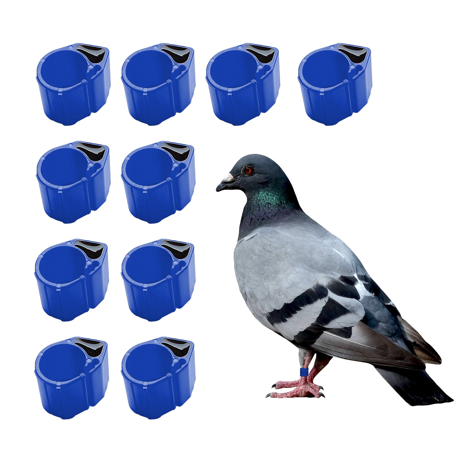 8mm Bird Pigeons Leg Rings - Colorful Readable Numbered Bird Identification Leg Bands, Durable Poultry Leg Bands Clip on Leg Rings for Bantam Finch Dove Lovebird Coturnix Quail