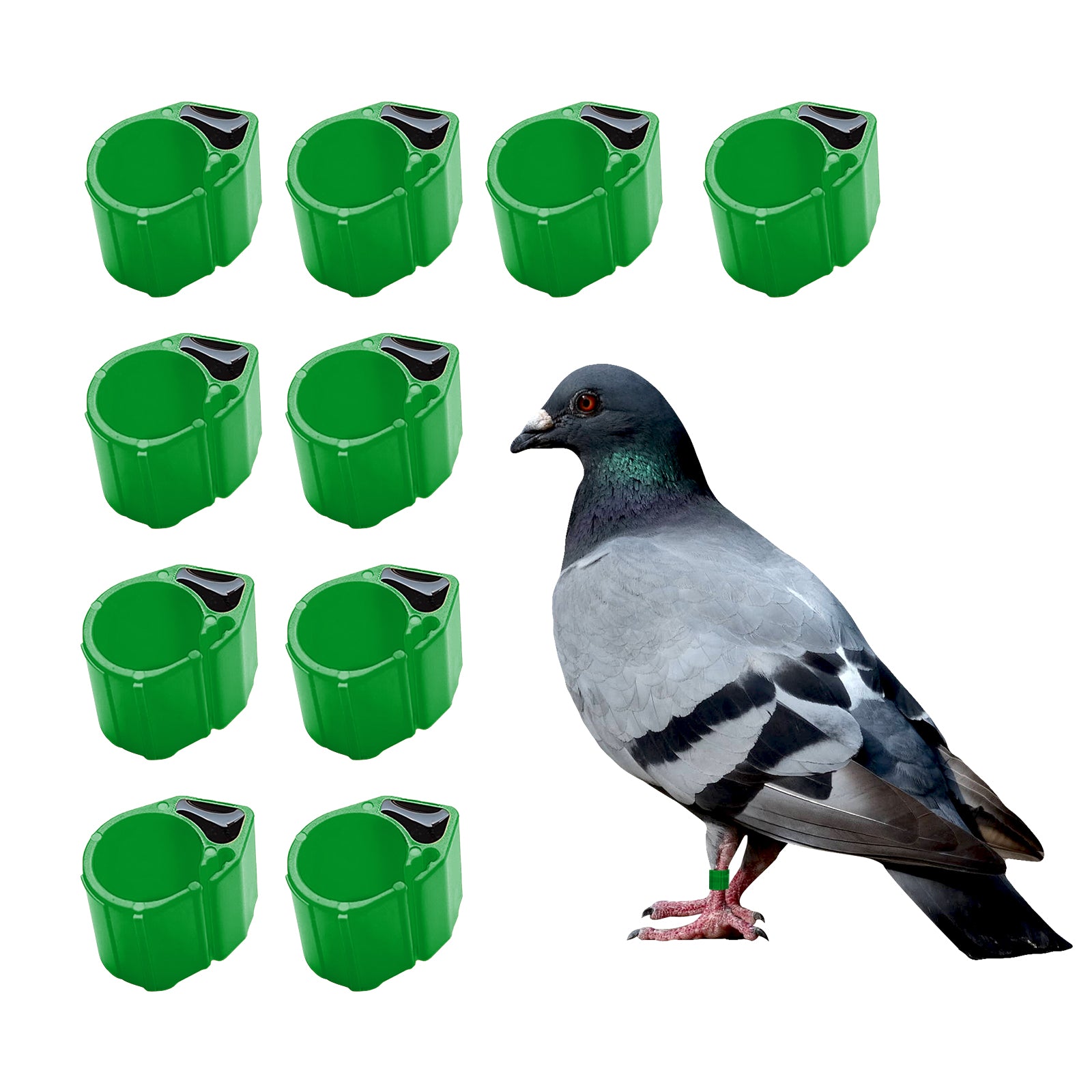 8mm Bird Pigeons Leg Rings - Colorful Readable Numbered Bird Identification Leg Bands, Durable Poultry Leg Bands Clip on Leg Rings for Bantam Finch Dove Lovebird Coturnix Quail